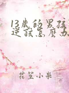 13岁的男孩叛逆该怎么办