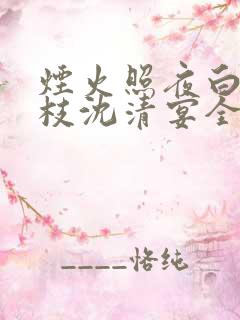 烟火照夜白温南枝沈清宴全文在线阅读