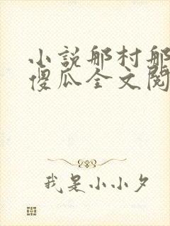 小说那村那人那傻瓜全文阅读