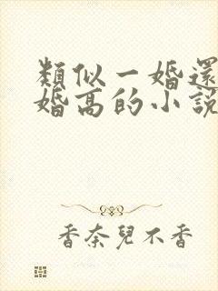 类似一婚还比一婚高的小说