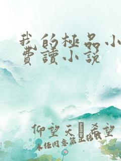 我的极品小姨免费读小说
