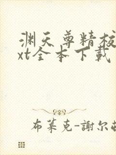 渊天尊精校版txt全本下载