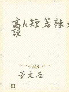 高h短篇辣文小说