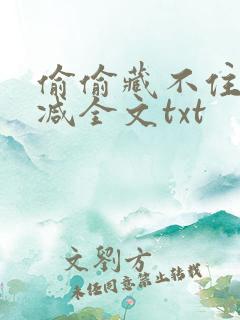 偷偷藏不住无删减全文txt