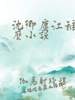 沈卿尘江稚是什么小说