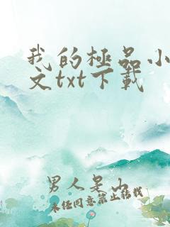 我的极品小姨全文txt下载
