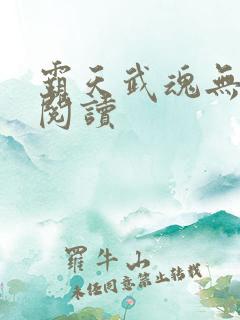 霸天武魂无弹窗阅读