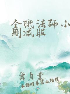 全职法师小说未删减版