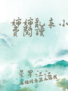 婶婶乱来小说免费阅读