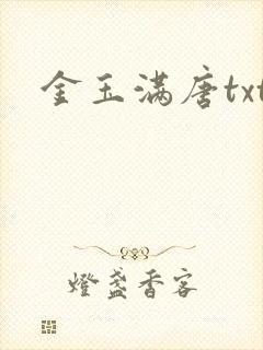 金玉满唐txt