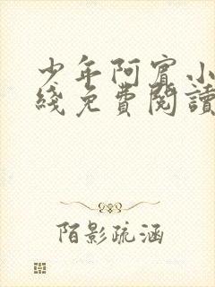 少年阿宾小说在线免费阅读