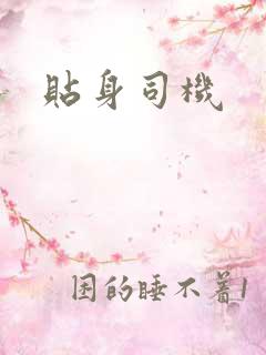 贴身司机