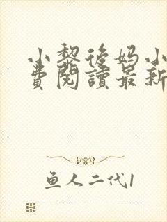 小黎后妈小说免费阅读最新章节更新