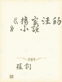 《杨家洼的情事》小说