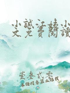 小诚江姨小说全文免费阅读最新章节