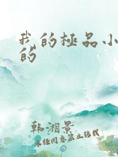 我的极品小姨我的
