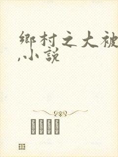 乡村之大被同眠,小说