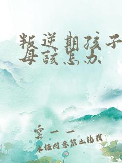 叛逆期孩子骂父母该怎办