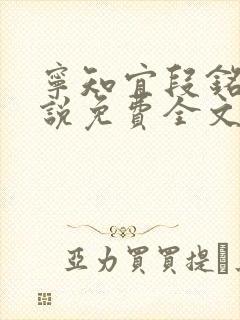 宁知宜段铭生小说免费全文阅读