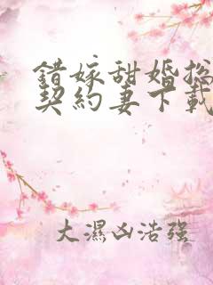 错嫁甜婚总裁的契约妻下载