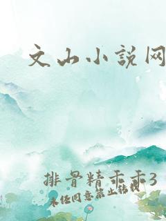 文山小说网