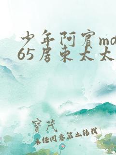 少年阿宾md165房东太太