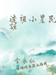 透视小农民 小说