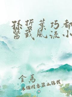 孙哲叶巧都市之医武风流小说