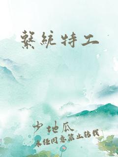系统特工