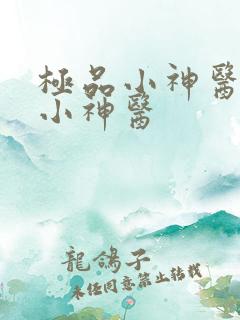 极品小神医极品小神医