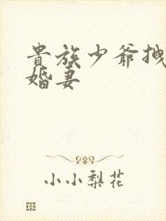 贵族少爷拽拽未婚妻