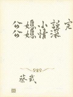 公媳小说完结版公媳情深