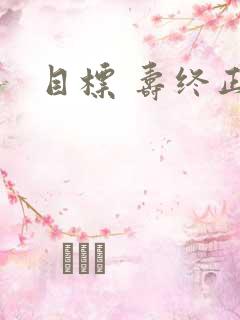 目标 寿终正寝