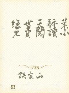 绝世天骄叶凌天免费阅读小说
