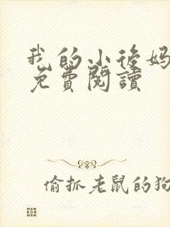 我的小后妈小说免费阅读