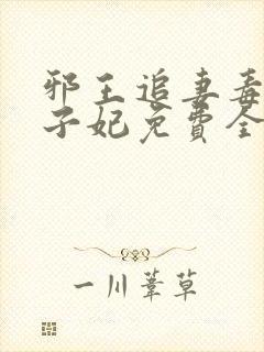 邪王追妻毒医世子妃免费全本阅读