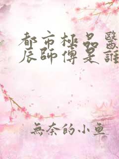 都市极品医神叶辰师傅是谁