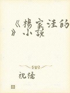《杨家洼的情事》小说