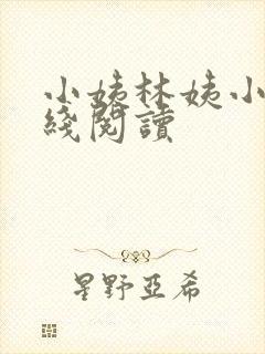 小姨林姨小说在线阅读