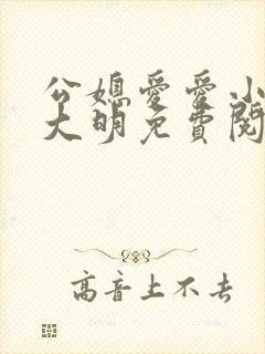 公媳爱爱小说王大明免费阅读