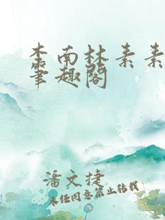 李南林素素小说笔趣阁