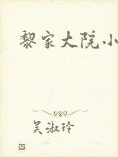 黎家大院小说