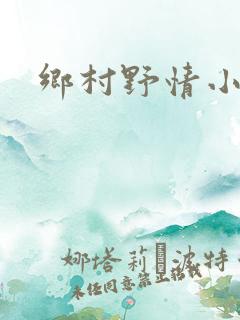 乡村野情小说