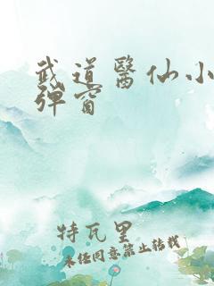 武道医仙小说无弹窗