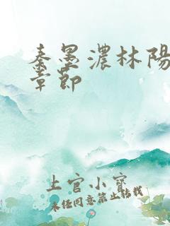 秦墨浓林阳最新章节