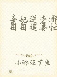 弃妃逆袭:邪王日日追妻忙txt下载