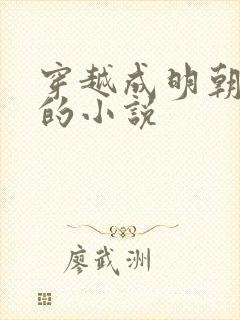 穿越成明朝皇帝的小说