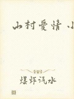 山村爱情 小说