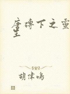 唐砖下之灵域双生