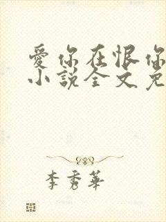 爱你在恨你之后小说全文免费阅读